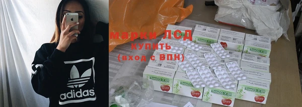 ПСИЛОЦИБИНОВЫЕ ГРИБЫ Бородино