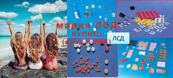 ПСИЛОЦИБИНОВЫЕ ГРИБЫ Бородино