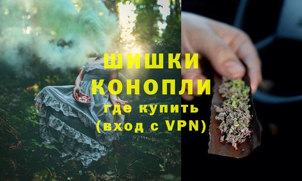 ПСИЛОЦИБИНОВЫЕ ГРИБЫ Бородино