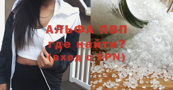 ПСИЛОЦИБИНОВЫЕ ГРИБЫ Бородино