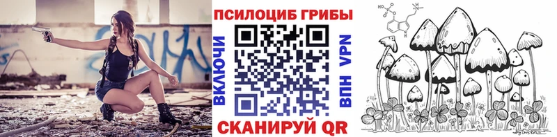 как найти закладки  Луга  Псилоцибиновые грибы GOLDEN TEACHER 